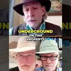 Ancient Humate: The World's Purest Soil Since Noah's Flood! #shorts