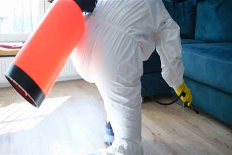 Mold Damage Restoration in Mt. Peasant: How Appliance Repair Issues Can Lead to Bigger Problems