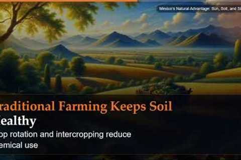 Mexico's Natural Advantage: Sun, Soil, and Simplicity