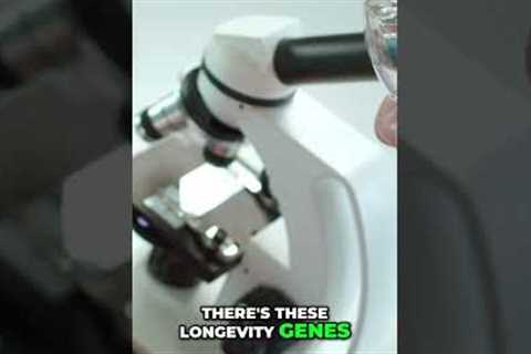 Genetics vs. Lifestyle: Why Your Genes Aren't Enough! #shorts